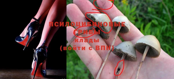 твердый Строитель