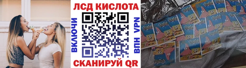 Наркотические марки 1500мкг Терек
