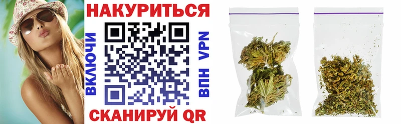 Каннабис OG Kush Терек